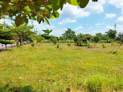 Project Image of 1323.0 - 3600.0 Sq.ft Residential Plot Plot for buy in True The Orchard