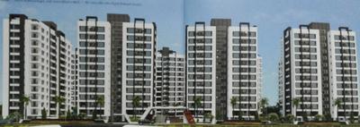 Silver Maxima Images for Elevation of Silver Maxima 2
