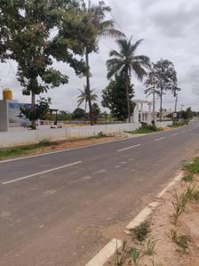 Project Image of 0.0 - 4500.0 Sq.ft Residential Plot Plot for buy in Avighna Smart City