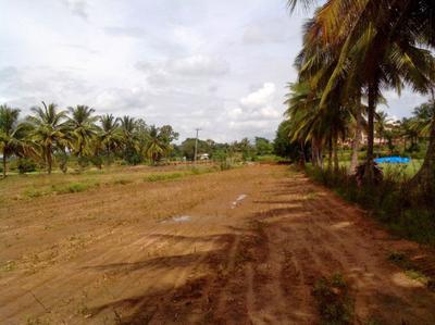 Project Image of 1200.0 - 2400.0 Sq.ft Residential Plot Plot for buy in Ashoka Aarna