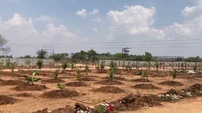 Project Image of 1188.0 - 5445.0 Sq.ft Residential Plot Plot for buy in Nandanavanam Farm Plots