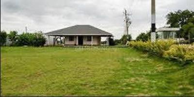 Magnolia Temple Tree Elevation 1