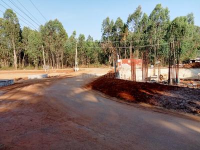 Project Image of 600.0 - 1769.0 Sq.ft Residential Plot Plot for buy in DSR Krishna Garden