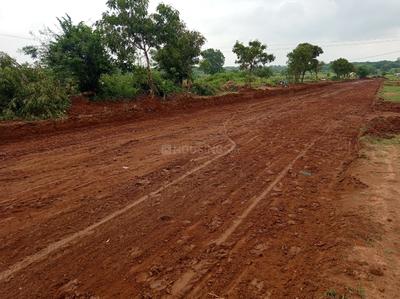 Project Image of 1319.87 - 2789.9 Sq.ft Residential Plot Plot for buy in Building True Gold 2 Phase 8