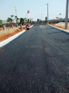 Project Image of 1350.0 - 3456.0 Sq.ft Residential Plot Plot for buy in Asset Pri Ravis Dharitri