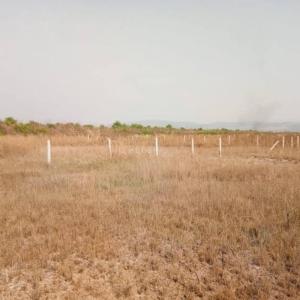 Project Image of 1000.0 - 10000.0 Sq.ft Residential Plot Plot for buy in Prime Properties Vindhane