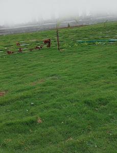 Project Image of 1494.0 - 9000.0 Sq.ft Residential Plot Plot for buy in Bhashyam RRR County