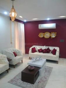 Project Images