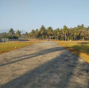 Project Images