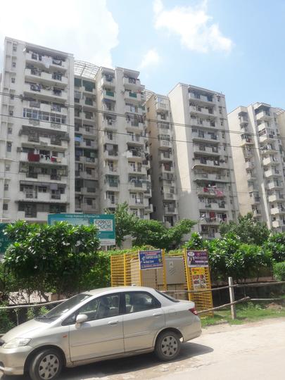 Express Greens - Image 3