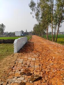 Project Image of 1000.0 - 1288.0 Sq.ft Residential Plot Plot for buy in Housing Purvanchal Greens