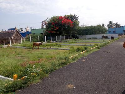 Project Image of 400.0 - 1500.0 Sq.ft Residential Plot Plot for buy in VSBN Kumaran Nagar