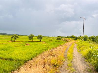 Project Image of 1000.0 - 10000.0 Sq.ft Residential Plot Plot for buy in Capstone Land Plots In Belondakhar