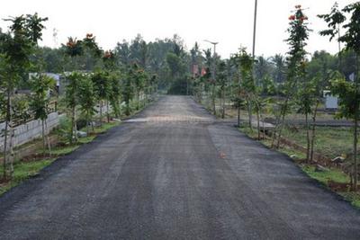 Project Image of 2190.41 - 12817.0 Sq.ft Residential Plot Plot for buy in Celebrity Eco Front