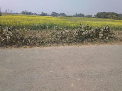 Project Image of 0.0 - 720.0 Sq.ft Residential Plot Plot for buy in Biswajit Land