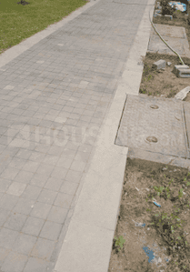 Project Images