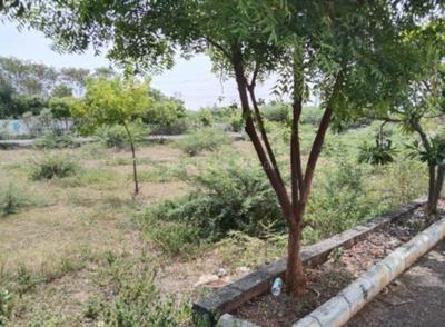 Project Image of 1057.0 - 2069.0 Sq.ft Residential Plot Plot for buy in Sri Sai Vriksham Garden Villa Plot