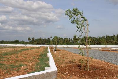 Project Image of 1371.0 - 3825.0 Sq.ft Residential Plot Plot for buy in Sathish Classic Avenue