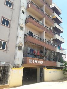 DS Max Spectra Images for Project 1