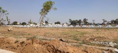 Project Image of 1468.2 - 14420.41 Sq.ft Residential Plot Plot for buy in Fortune Tandra Open Skies