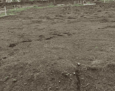 Project Image of 610.1 - 2177.54 Sq.ft Residential Plot Plot for buy in Sampat Green Extension