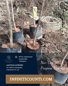 Project Image of 1539.0 - 2700.0 Sq.ft Residential Plot Plot for buy in Alekhya Infiniti Counti
