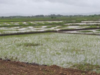 Project Image of 1000.0 - 10000.0 Sq.ft Residential Plot Plot for buy in AJ LAND IN JUI THIRD MAHA MUMBAI