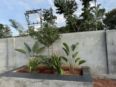Project Image of 1144.0 - 2070.0 Sq.ft Residential Plot Plot for buy in Maanya Tulips