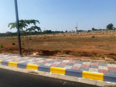 Project Image of 1350.0 - 3600.0 Sq.ft Residential Plot Plot for buy in Rainbow County