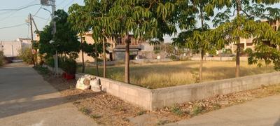 Project Image of 430.56 - 867.89 Sq.ft Residential Plot Plot for buy in Century Nakshtra Nagar Phase 4