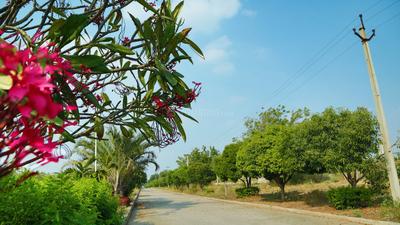 Project Image of 4500.0 - 18000.0 Sq.ft Residential Plot Plot for buy in Samruddhi Manikya Meadows Farm Plots