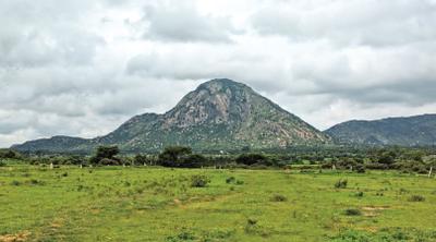 Project Image of 800.0 - 2400.0 Sq.ft Residential Plot Plot for buy in Maarq Vista