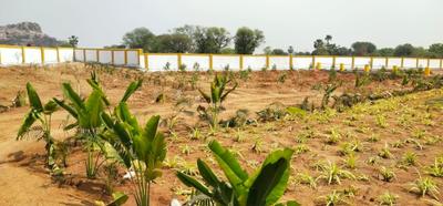 Project Image of 1350.0 - 2880.0 Sq.ft Residential Plot Plot for buy in Siyora Shakthi County Phase 1