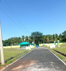 Project Images
