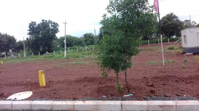 Project Image of 1485.0 - 2250.0 Sq.ft Residential Plot Plot for buy in SR Serene City