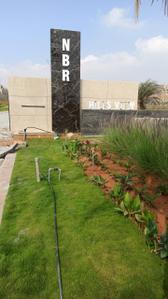 Project Image of 1200.0 - 1500.0 Sq.ft Residential Plot Plot for buy in NBR Hills View