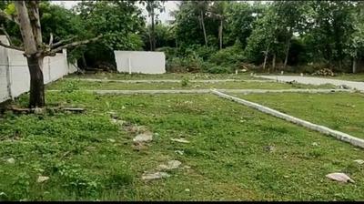 Project Image of 706.0 - 1401.0 Sq.ft Residential Plot Plot for buy in Madras CVR Garden