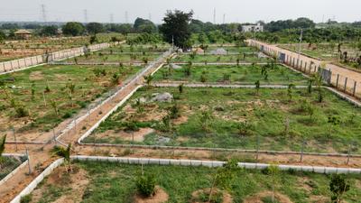 Project Image of 0.0 - 5445.0 Sq.ft Residential Plot Plot for buy in Tado Chandanam