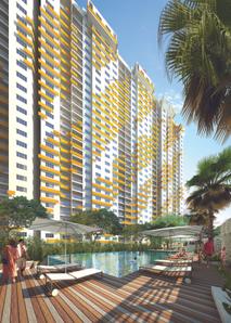 Project Images