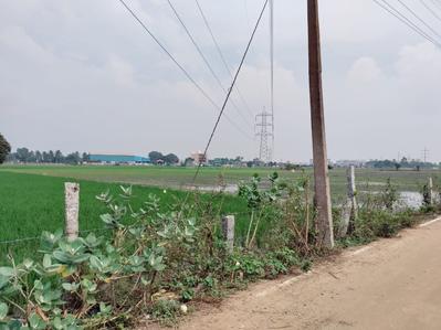 Project Image of 850.0 - 1200.0 Sq.ft Residential Plot Plot for buy in Madras Rama Krishna Garden