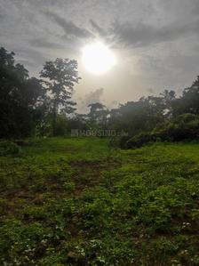 Project Image of 1000.0 - 10000.0 Sq.ft Residential Plot Plot for buy in Farm N Land Roha