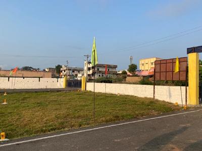 MS Avenue Elevation 1