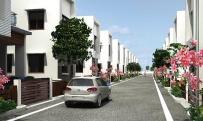 Project Images