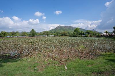 Project Image of 1000.0 - 100000.0 Sq.ft Residential Plot Plot for buy in Royals Plots in Alibag