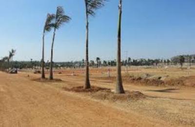 Project Image of 1500.0 - 7459.0 Sq.ft Residential Plot Plot for buy in Sparkle Inara