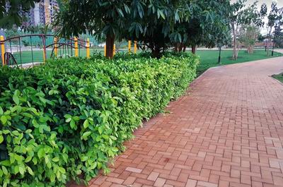 Project Image of 329.0 - 1626.97 Sq.ft Studio Studio Apartment for buy in Bhartiya Nikoo Homes VI Phase 2
