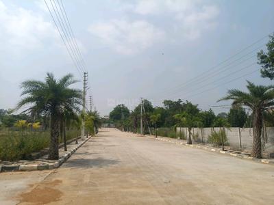 Seshadri Gokulam Farms And Resort Internal Roads & Footpaths 1