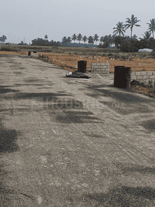 Project Images