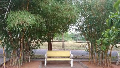 Project Image of 1400.0 - 5000.0 Sq.ft Residential Plot Plot for buy in NBR Golden Valley