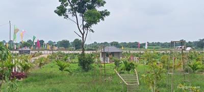 Project Image of 2700.0 - 5400.0 Sq.ft Agricultural Land Agricultural Land for buy in Tulip Farm